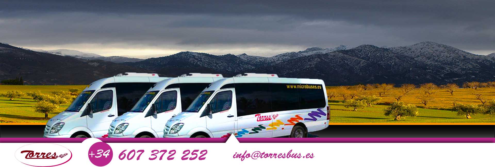 Alquiler de minibus o minibuses en Madrid para boda